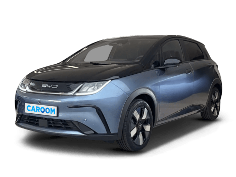 BYD Dolphin occasion Allemagne