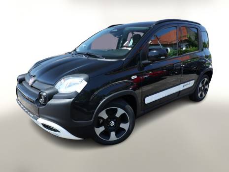 Fiat  Panda occasion Allemagne