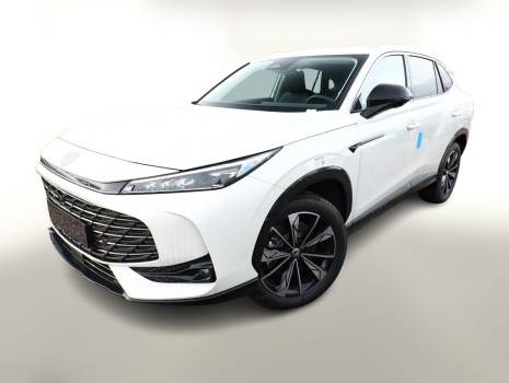 Leasing MG EHS